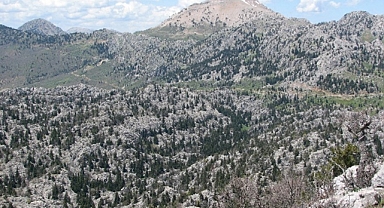 Doğal yaşamın korunmasında önemli bir alan