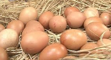 Yumurta fiyatları daha da artacak