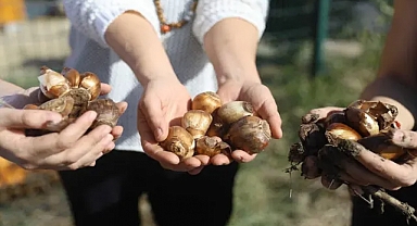 Büyükşehir Belediyesi’nden çiftçilere destek