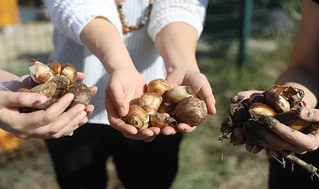 Büyükşehir Belediyesi’nden çiftçilere destek