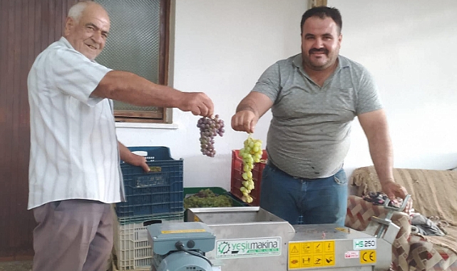 Gelenek devam ediyor: Fatih mahallesinde üzümler sıkıldı