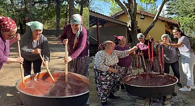 İbradı’da bağ bozumu coşkusu