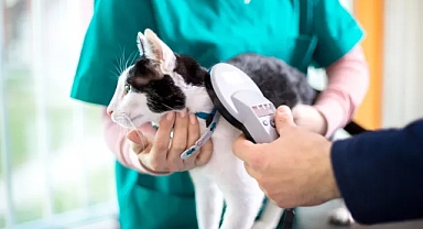 Gündoğmuş’ta evcil hayvan sahiplerine mikroçip uyarısı