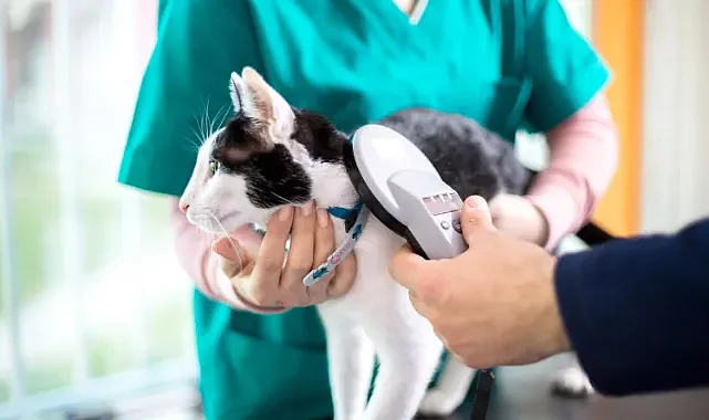 Gündoğmuş’ta evcil hayvan sahiplerine mikroçip uyarısı