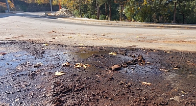 Kimse görmüyor mu?