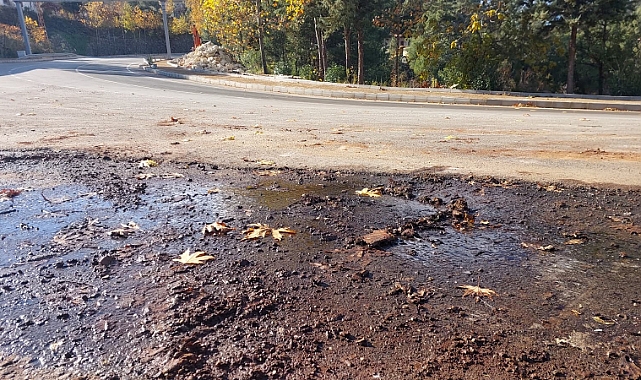 Kimse görmüyor mu?