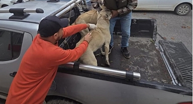 Çip süresi doldu, Gündoğmuş’ta şimdi ne olacak?