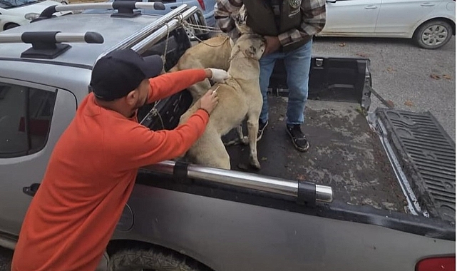 Çip süresi doldu, Gündoğmuş’ta şimdi ne olacak?